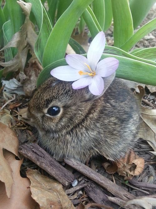 Bunnies's tweet photo. https://t.co/Ioh0h3fIwo