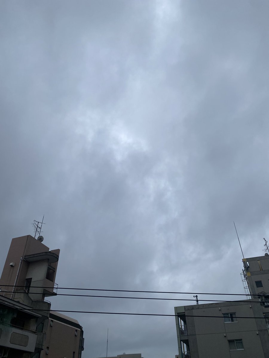 ankoemi's tweet photo. おはようございます☂️࿆⦁ﾟ

明日も雨かなぁ…

オーデコロンミントの
お花が咲いてるよ✨️

穏やかな火曜日に
なりますように･.｡*･.｡*

 #イマソラ  #ミニチュアダックス  #わんこ  #写真  #オーデコロンミント  #お花 https://t.co/KO1pWrLPA6
