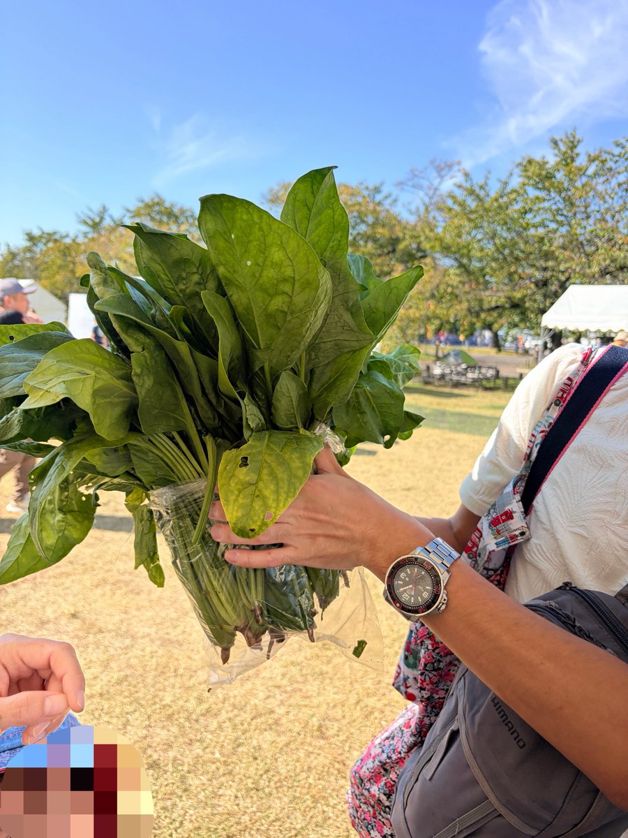 Smallsunlight22's tweet photo. 万博公園で開催されたLOHASフェスタ✨️
3日間でチンゲン菜20kg、ほうれん草60kgの詰め放題して、即完売👩‍🌾🙏

ありがとうございました🫶
皆さん、もうフィーバーしちゃって楽しんでたのは嬉しい限りです🙌

また来年の秋にお会いしましょう💪✨️

ありがとうございました！ https://t.co/NMoWxk22Tp