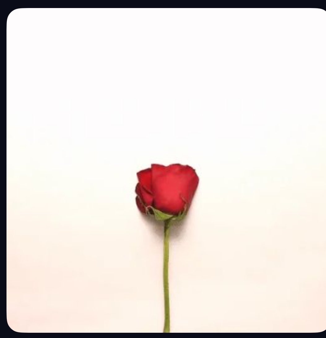 Gonja00's tweet photo. @AS7Anoud المعذرة https://t.co/Sck70nClSn