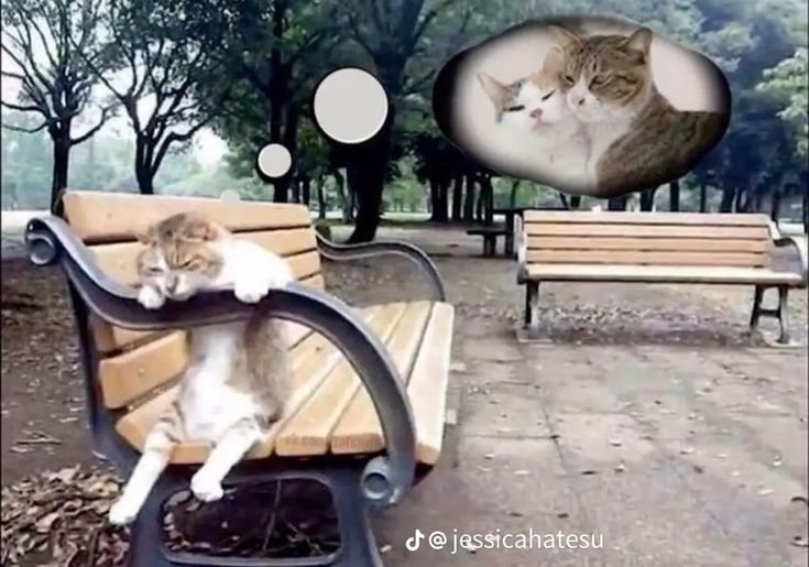 0bbssion's tweet photo. https://t.co/6sEtJj4NY5