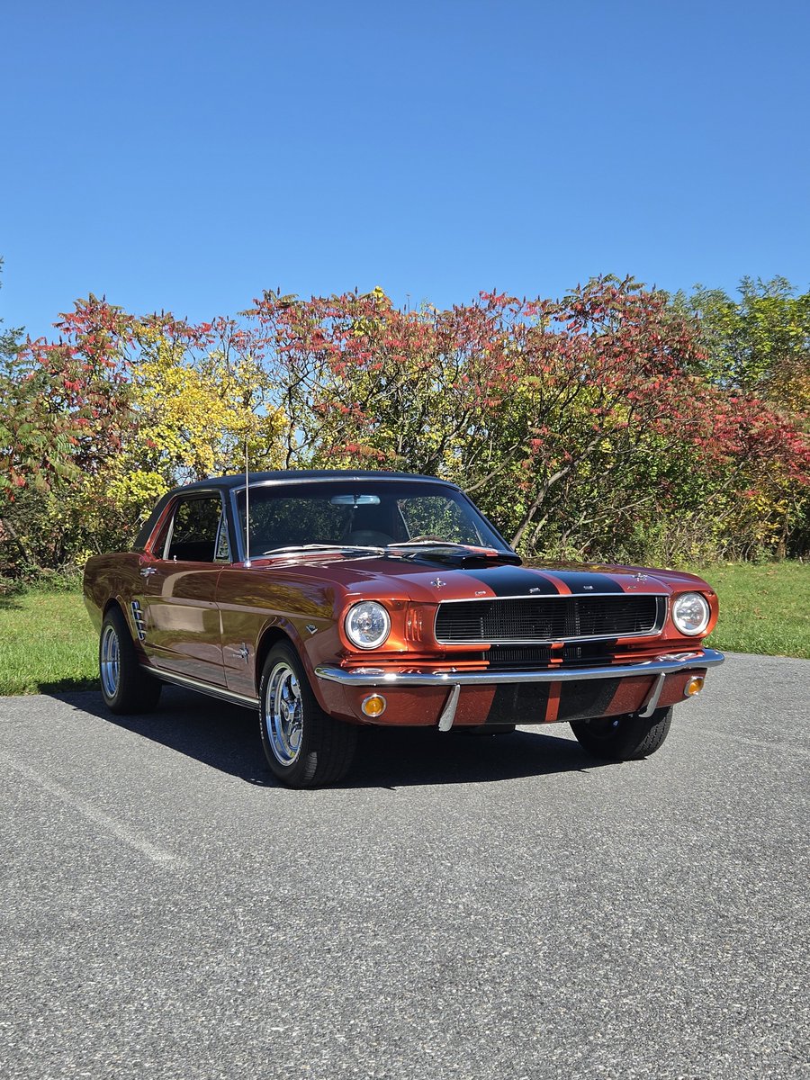 autox9092408's tweet photo. Sunday was a pretty good day, finished up my spaghetti sauce, took the mustang out and the got my truck cleaned up https://t.co/sGR2NhvDgS