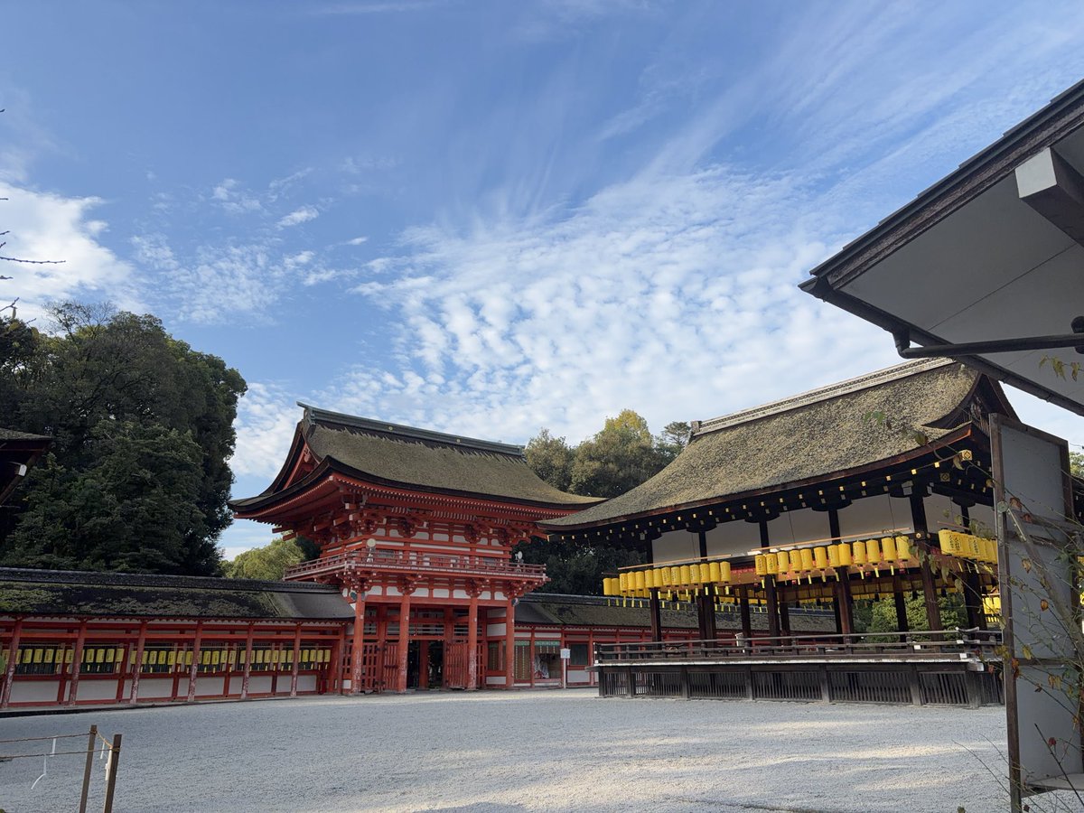 Procyon_CMi's tweet photo. 酷い湿度　朝なのに蚊も飛びまくり🥵 https://t.co/luRjJqLOJI