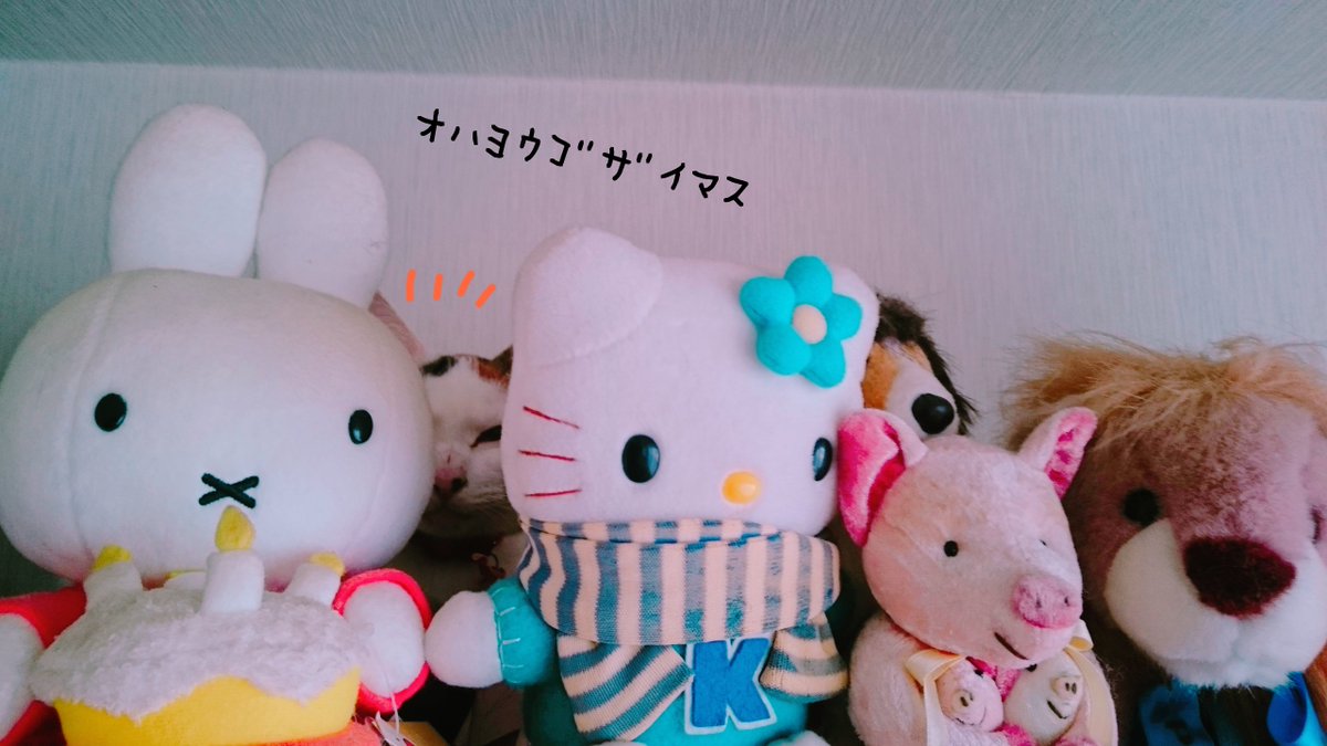 rioriojyaneiro's tweet photo. おはりおございます☀️.°
うおー
気がつけば10月ももう後半
 #神様の花盗人 本番までほぼ一週間💦はや～
稽古も大詰め
衣装解禁のお許しも出たので
ぼちぼち写真もあげていきたいです📸
かっとび火曜日
ぼちぼち行こーう🐈‍⬛ ͗ https://t.co/Rtj63pHQhw