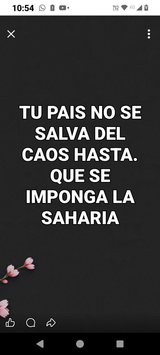 TArrepentiste's tweet photo. https://t.co/QQyoUNlgg0