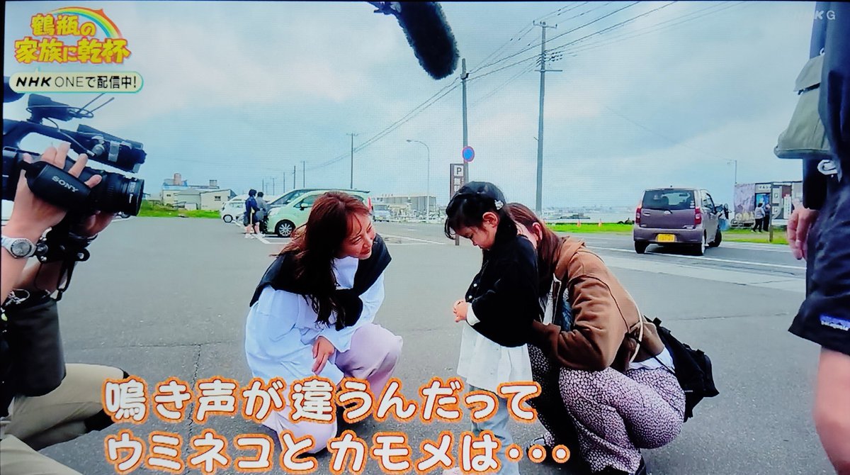 tuffyroll's tweet photo. 家族に乾杯。ウミネコ見れずにガッカリガールにも寄り添うロケの達人ミキティ、この場面も良かったです😊#藤本美貴 https://t.co/01Y3uDhpUE
