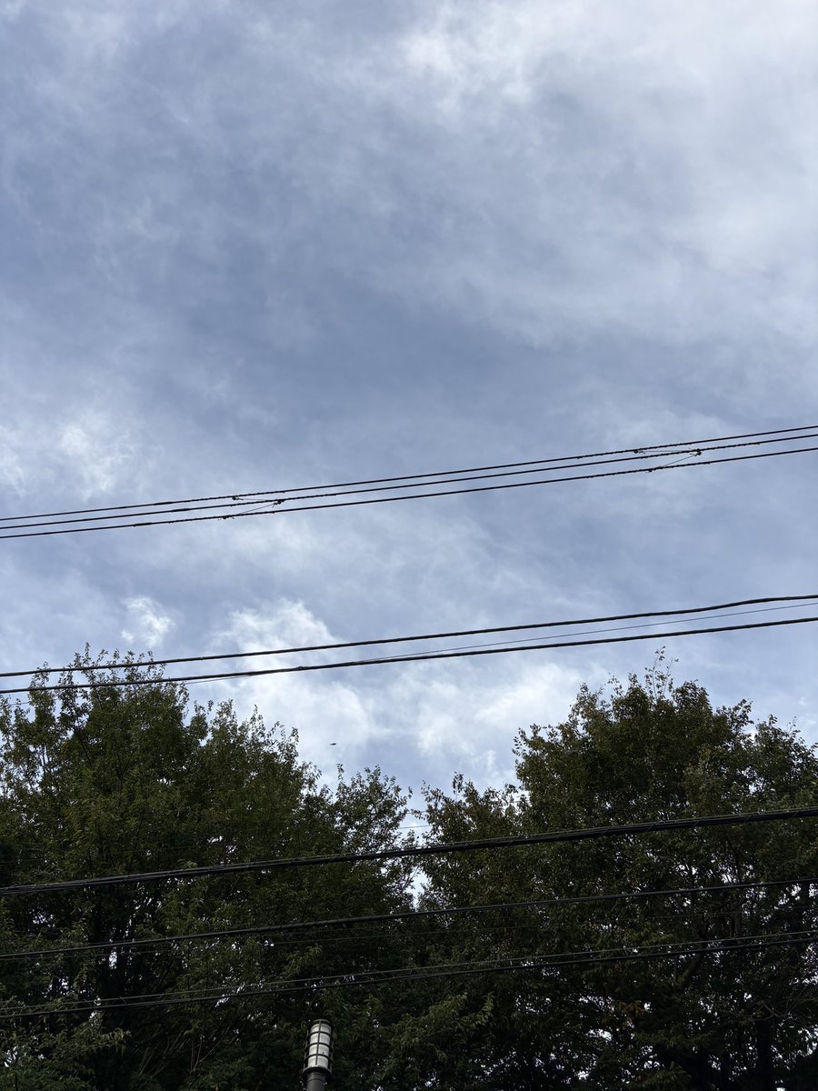 nihonzindesu__'s tweet photo. おはようございます。
本日の東京都最高気温27℃予報
外回り営業楽しむぞ♪
仕事の方もゴルフラウンドの方も1日をお楽しみください！ https://t.co/KDGiXyxB7H