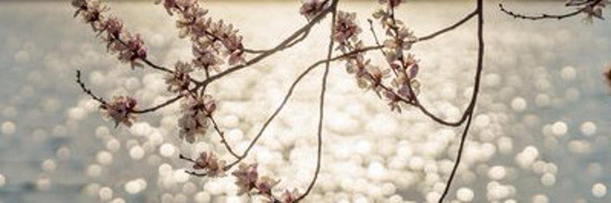 doy7179's tweet photo. 我每天都很早就睡了 早上还要起来很早上班 https://t.co/R9GvQyfErP
