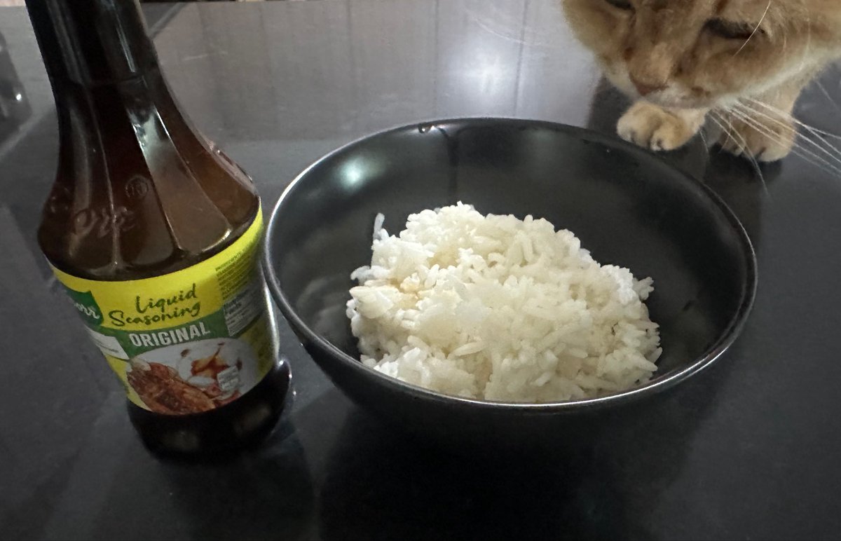 junoumezono's tweet photo. my breakfast for the next month since i bought a ps5 for gta VI release

cat NOT included https://t.co/k9eej1i38t