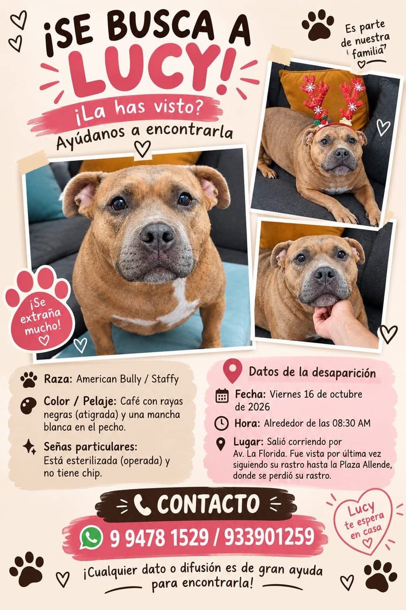 todopormiperro's tweet photo. https://t.co/xTvU4IDqoD