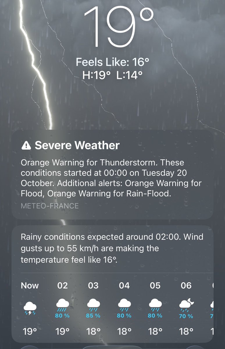 syswarren's tweet photo. its 1:15am. i can hear the rain on the window. thunder is far away, it sounds like a big dog growling in its sleep. 

and it gives me this childhood feeling of knowing that no matter what we're going to be okay because our feet are under the covers and nothing can hurt us. https://t.co/xpH2ZLAtox