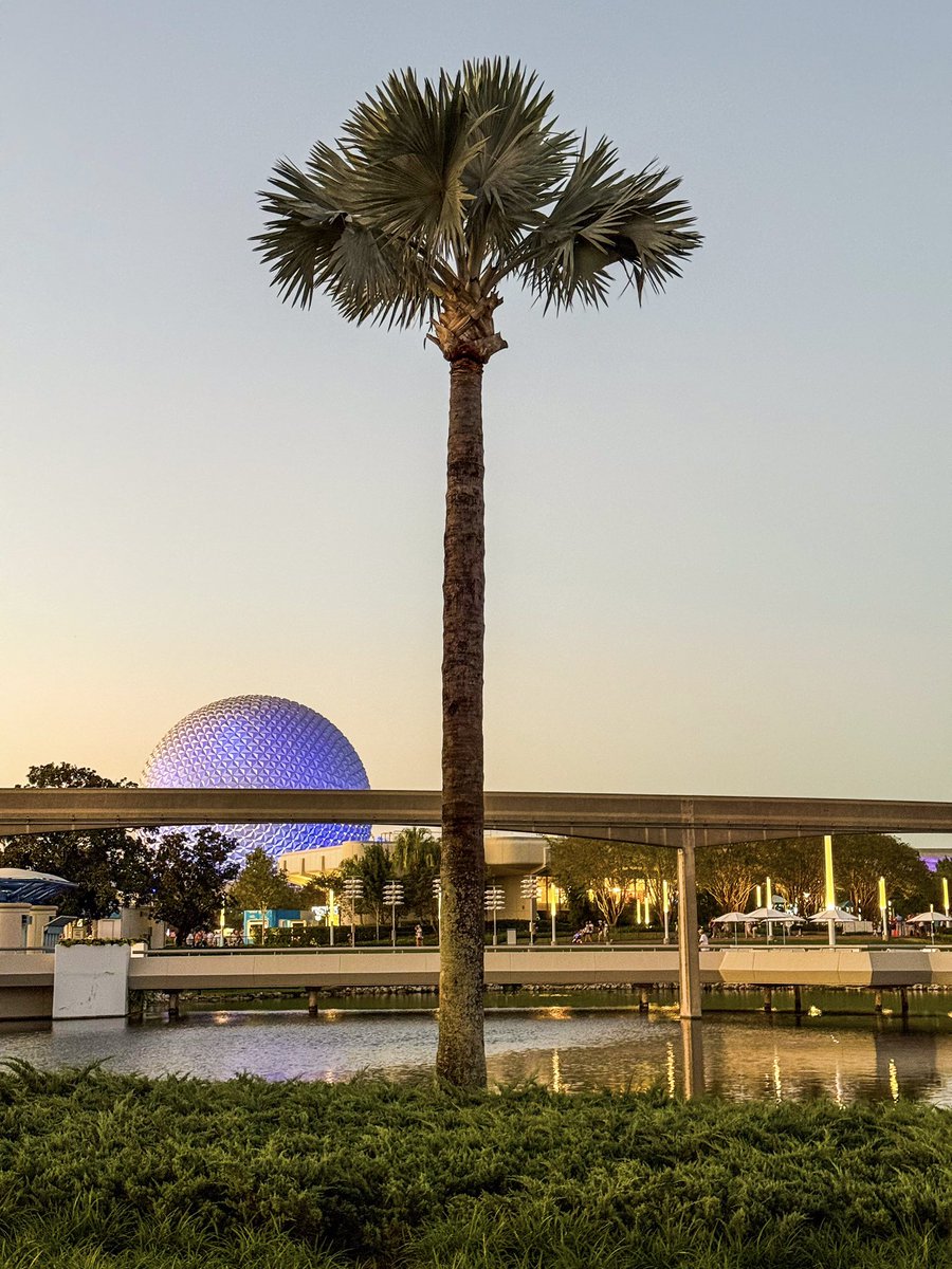 CoreyWDW's tweet photo. Nice part about returning home from vacation is being able to enjoy some perfect weather at Epcot https://t.co/njn2164APh