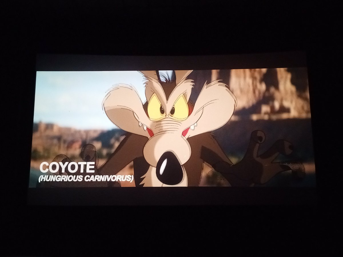 Burning_Myn's tweet photo. 4 veces (está es su última semana), 4 MAMAGUEBAS VECES fui al cine solo para decirle a Warner que la chupe

Que divino se siente ver a la empresa cuando las cosas le estallan en la cara. Valió la pena, los amo mis pulgosos, gracias por tanto https://t.co/rezKf3laee