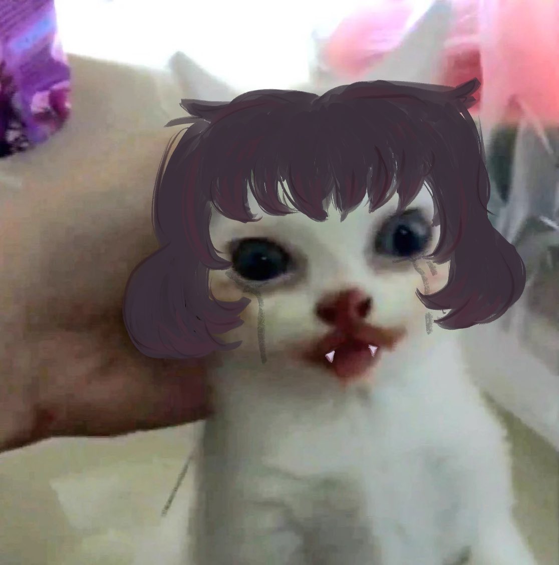 KEWPlEDOLL's tweet photo. Mina Mina Mina…….. https://t.co/WQLIE3y9as
