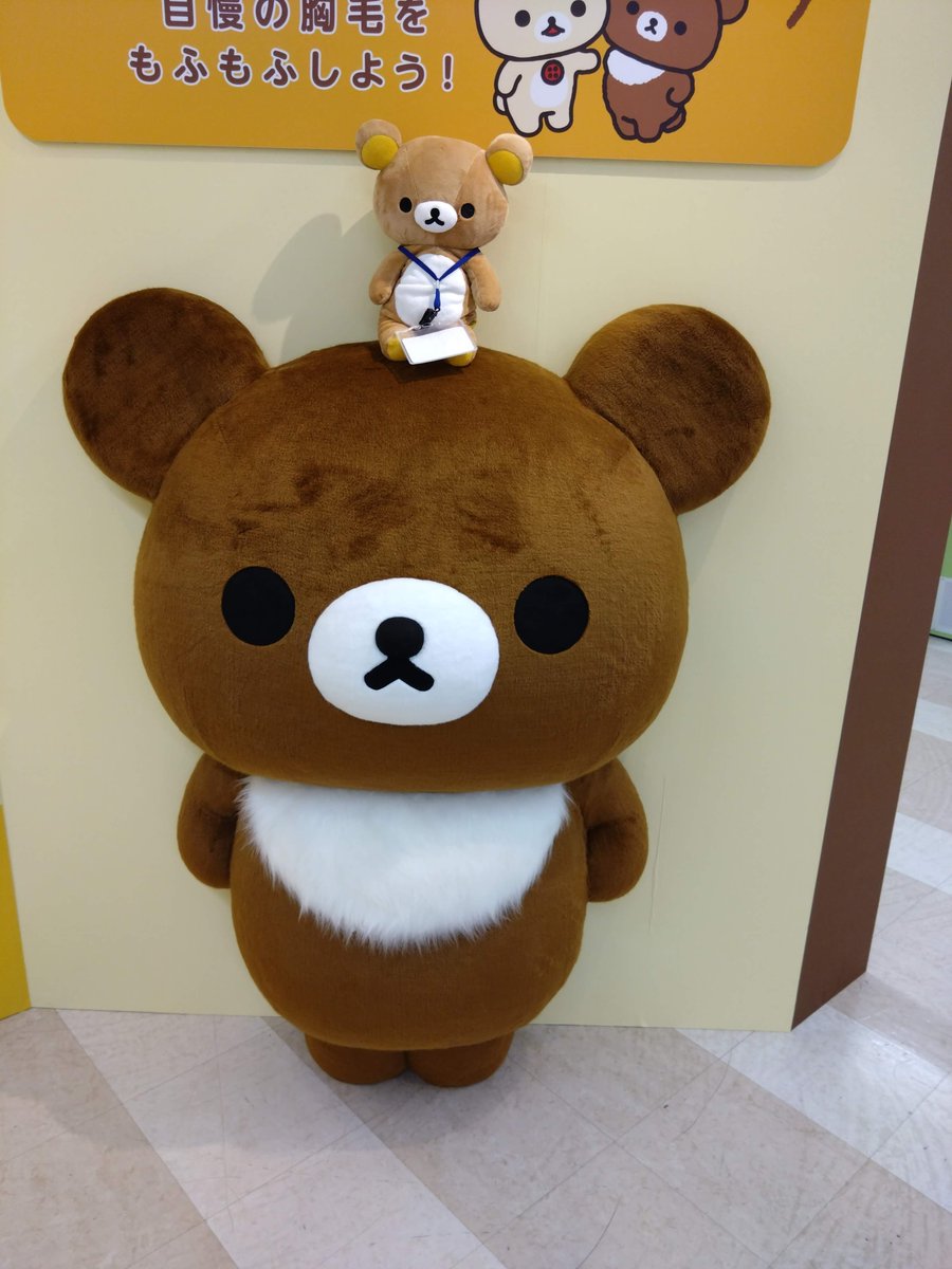 RikuS1998's tweet photo. おはくまです🐻
今東京駅なのですが先頭の人は何時から来てるんだろう💭
すごいわぁ⋯

写真はいつぞやの成🐻式のおきゅまなコグ💭 https://t.co/H5GnZ8EXaO