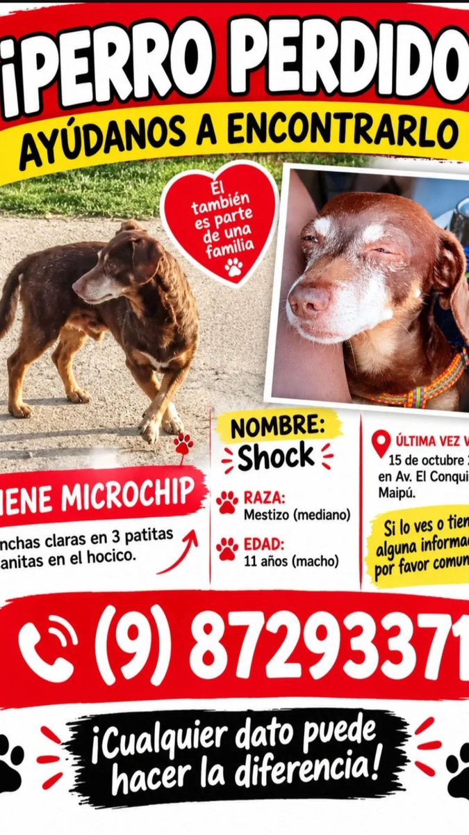 todopormiperro's tweet photo. https://t.co/et8DAKJItP