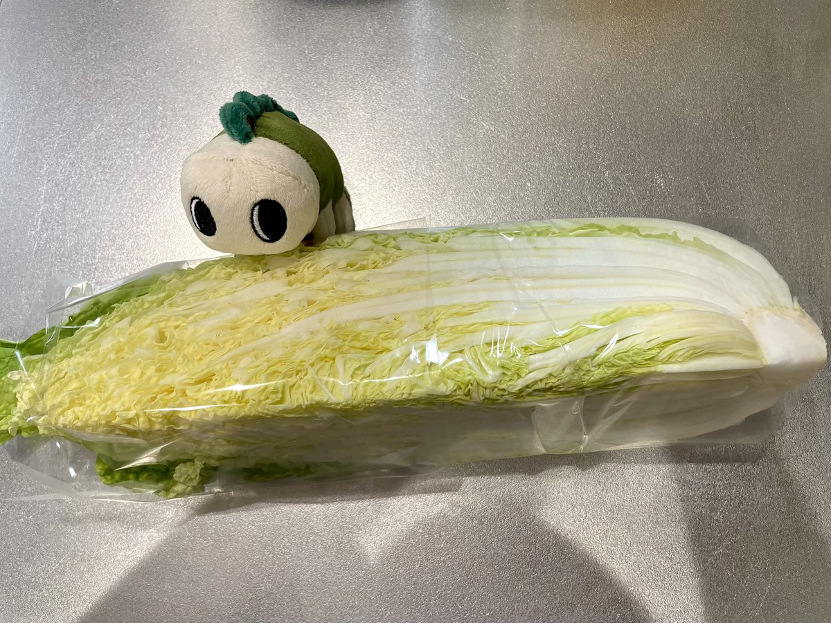 na3_7mii's tweet photo. あ すぎむしついてる https://t.co/WSrhacHXLd