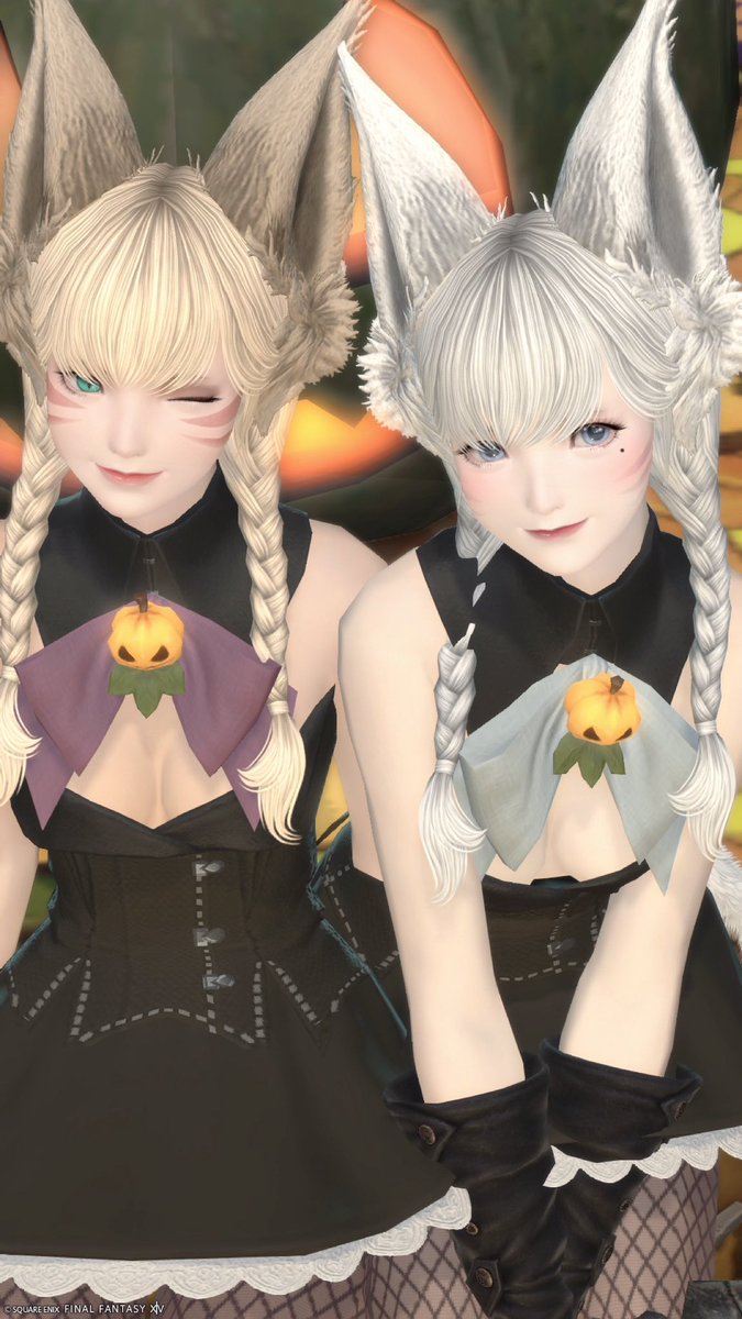 _px_xo's tweet photo. いっしょにあそぼー❔Ѽ ^ ̳.  ̫ . ̳^  ⸝꙳
୨୧ #おはミコ┆#FF14SS┆#ミコッテ ᗢ 
୨୧ #メンテだしとにかくあなたのssが好きって思ってくれるひとと出逢うために自分の推しssをそっと置いておく． https://t.co/Ub2WBBtBtv