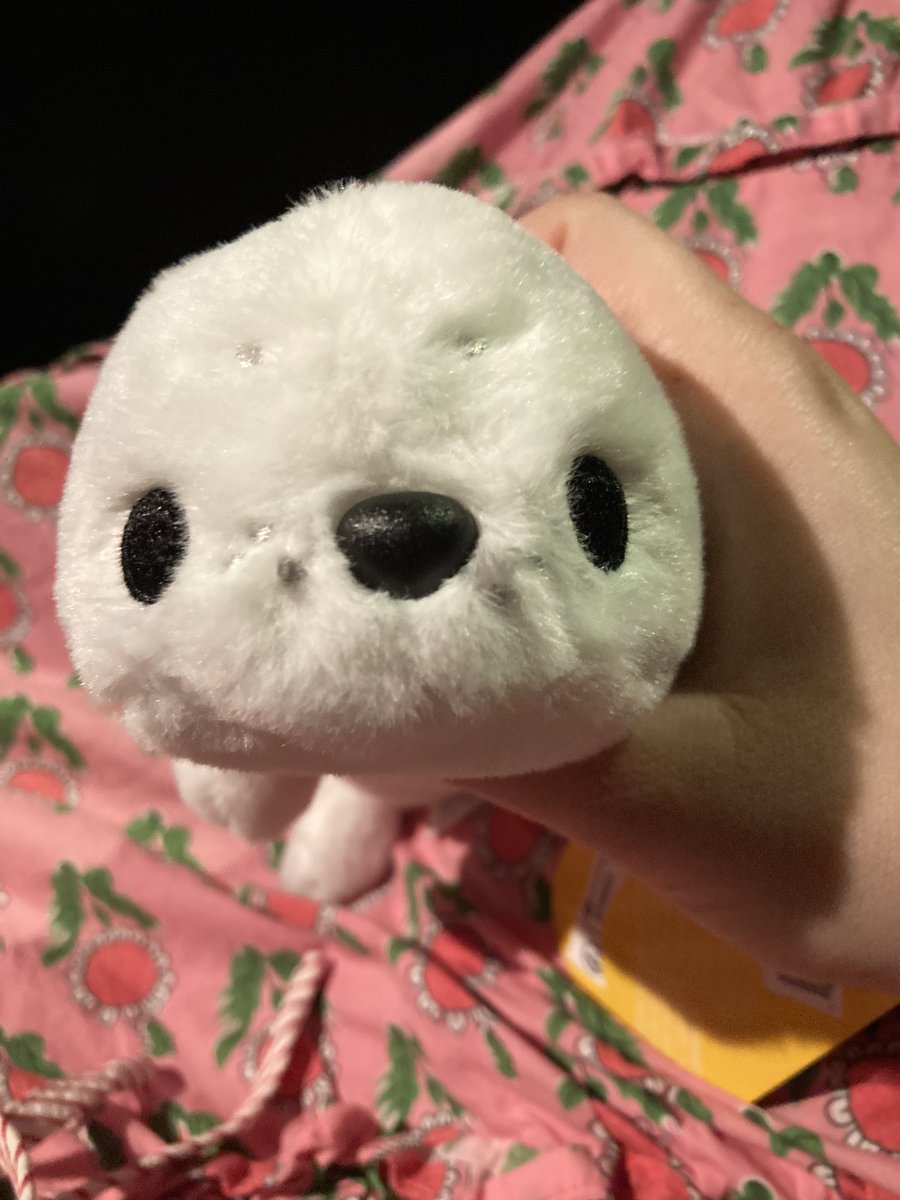 BundleMoonlight's tweet photo. I saw a baby seal plush at my miniso today, chat what do I name them? https://t.co/zf3A8KqmoO