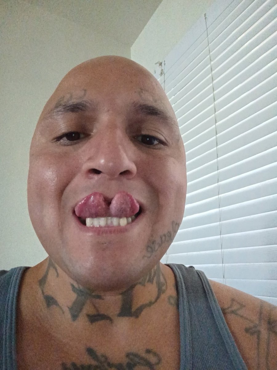 Adamnunezythgf's tweet photo. @habadyab2 Hell yeah https://t.co/QUKKxcAxcO