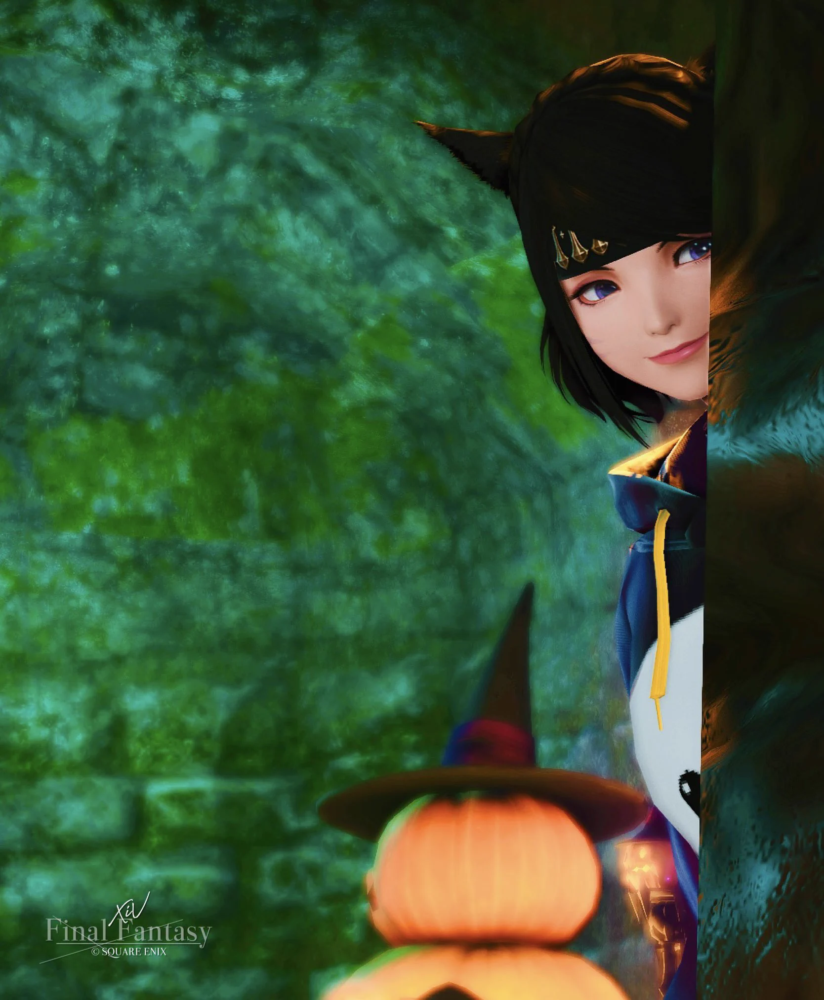 如月なーにゃ🐈‍⬛ on X: 