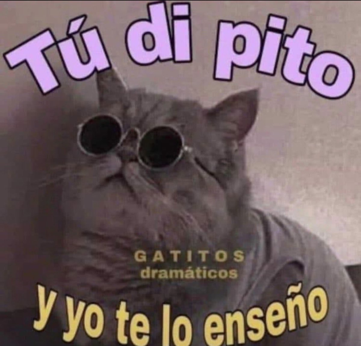 puesOrlando's tweet photo. Me tomé unas nudes y ahí va la dinámica:

¡Valido por 1 hora! https://t.co/gqOjDifcMm