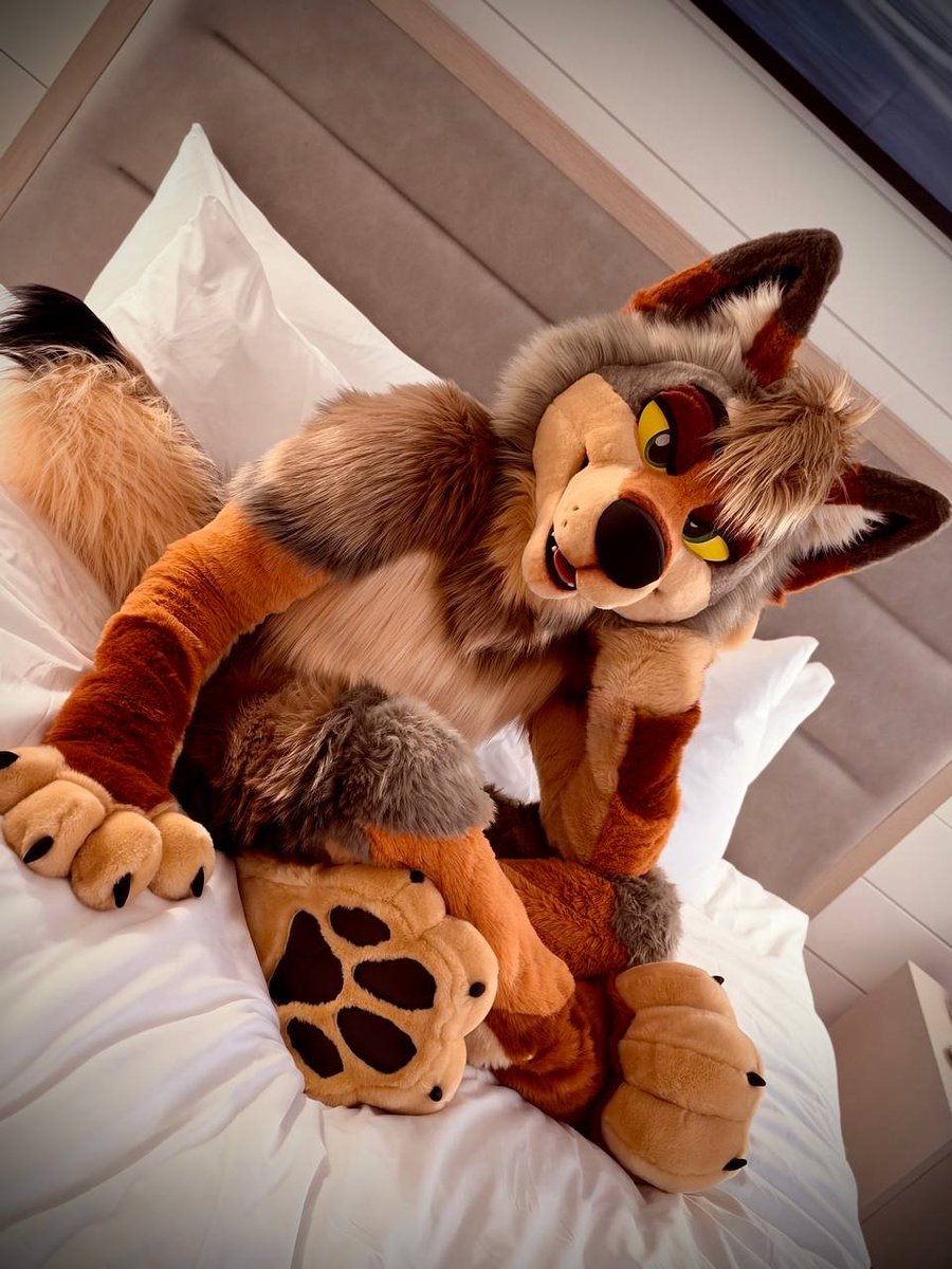 kilometers's tweet photo. Caught you staring. Can't say I blame you, though. 🐾 

🪡: jaycostumes https://t.co/ylTZUskfGl