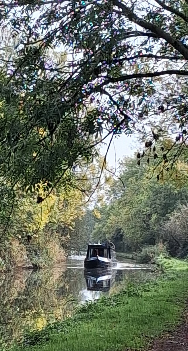 Librarymaid's tweet photo. @London_W4 Afternoon walk, 5 mins' stroll from the house - a haven from the global maelstrom. https://t.co/R98drmNHgG