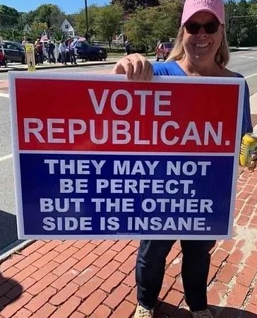 SidneyPowell1's tweet photo. As we have started making progress in reclaiming America and exposing all the corruption, each election will be more important than the last.  You know how I feel about the voting machines, but we have to work with what we have until we can change it.  That means-GO VOTE REPUBLICAN!  I understand we did not get everything we wanted, but we are in MUCH better condition that when @realDonaldTrump began.  Early voting is starting now.  VOTE!  Make it TOO BIG TO RIG!