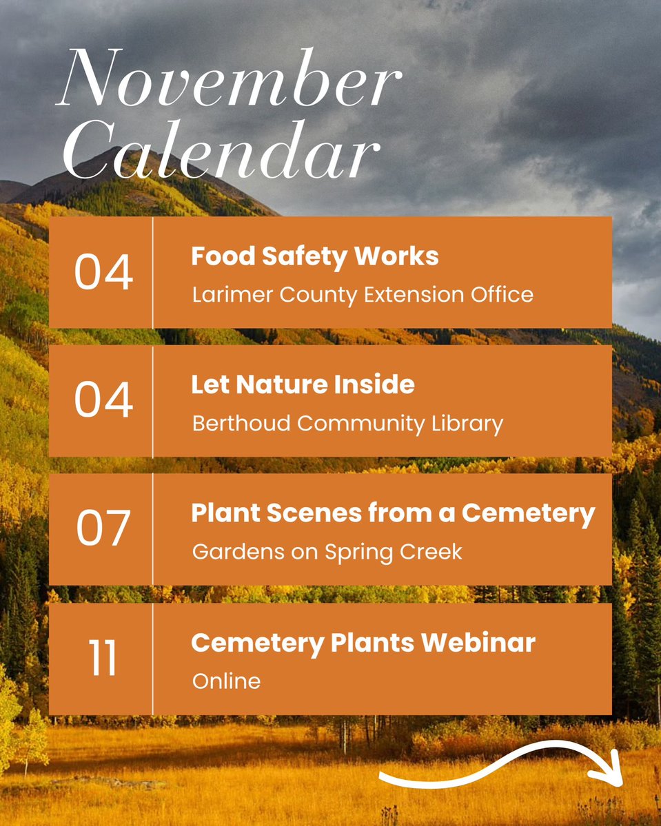 LarimerCounty's tweet photo. Larimer County CSU Extension

Your November just got more interesting.

From hands-on workshops to online webinars and civic leadership, there’s something for everyone this month.
Whether you want to build skills, make a difference in your community, or bring a little nature indoors, we have a way for you to get involved.
Learn more and register for events at https://t.co/LxI61xpWNf