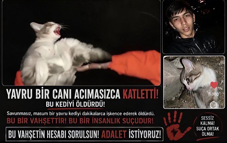 esmeraykaya's tweet photo. Paylaşımlarımızı tek bir başlıkta atmamız lazım aynı anda aynı yere paylaşım yaparsak fark yaratabiliriz 
BAŞLIĞIMIZ #MinikİçinAdalet cümlesi kullanalım ayrıca 
@EmniyetGM @mustafaciftcitr 
@abakingurlek kişileri ekleyelim ve başka gerekli kim varsa ekleyin bu bir örnektir https://t.co/YNiYo1Okbw