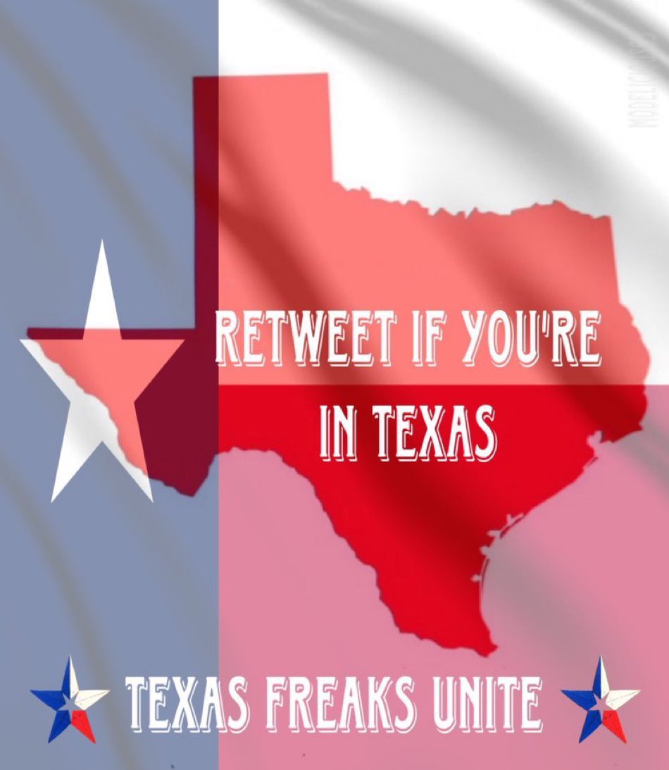Purfeckitty69's tweet photo. Again for any other fellow bicouples or singles out there 
#freaks #swingers #couples #realcouples #bicouple #bisex #sexymilf #hotwife #sexywife #domwife #texas #dfw #dallas #dallastexas #dfwfreaks #swingers #swinging #curious #bicurious https://t.co/mR1cX5cemf