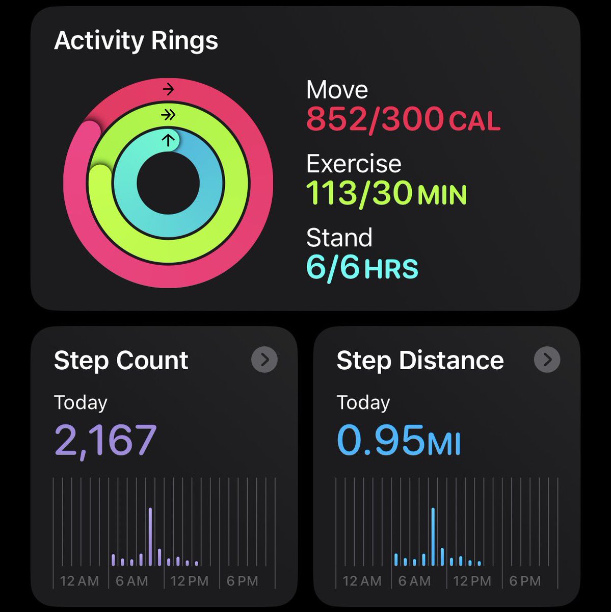 4ftertheflood's tweet photo. Somebody tell me I’m not allowed to catastrophise over my step count even tho I’ve burned a good amount https://t.co/5tOsu7Vzkp