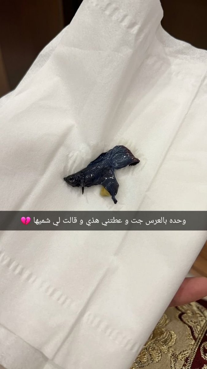 RoGan10's tweet photo. معقولة باقي ناس للحين تسوي كذا؟! https://t.co/OzcpX2j9lc