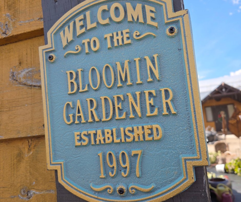 bloomingardener's tweet photo. We are so excited to be celebrating 30 years in business in 2027!
From our humble beginnings in 1997 to where we are today, it’s incredible to look back and see how far we’ve come.
#thebloomingardener #localgreenhouse #spring2027 #30yearsinbusiness #yqgbusiness https://t.co/3e7N3LHCMu