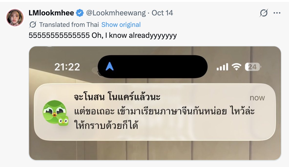 kiki89lmsy's tweet photo. Lookmhee roasted by Duolingo, yet again 

#LMSY #ลูกหมีซอนญ่า 
#SonyaSaranphat #LMlookmhee https://t.co/46Rd8Rmsui