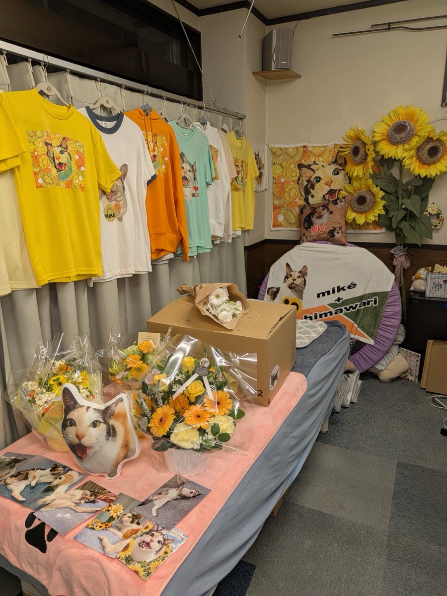 ojm52811's tweet photo. ミケちゃんおはよう。よく眠れたかな。昨夜は自宅に連れて帰ろうか迷ったけどやっぱりいつものベッドが一番落ち着くだろうから…。このミケちゃんルームは治療室を閉める日までずっと今のまま残そうと思ってるんだよ。ミケちゃんがいつでも帰って来れるように。
箱の中のミケちゃんを見ているととても旅立ったとは思えない。毎朝この時間にナデナデされていた顔と全く変わらないんだもの。穏やかで、幸せそうで…。
（写真を不快に思われた方にはお詫びいたします）