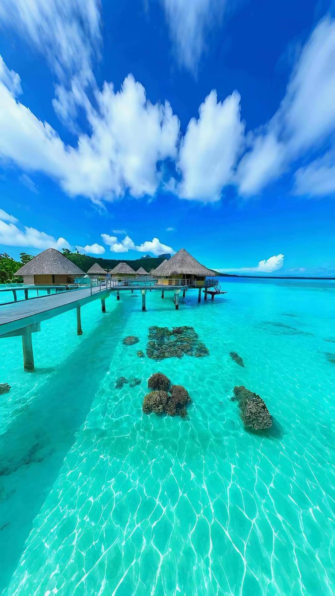 AmazingEye04's tweet photo. Bora Bora https://t.co/zUybfuGTfv
