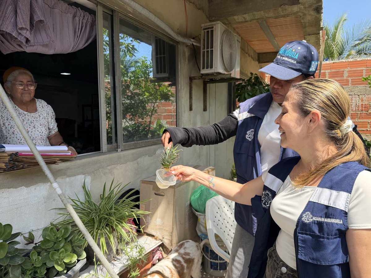 alcaldiabquilla's tweet photo. ¡La prevención del dengue empieza en casa! Llegamos a los hogares con visitas y acciones de control. 

La fumigación es complementaria, pero eliminar las aguas estancadas es clave para acabar con los criaderos y prevenir el dengue. https://t.co/W3IBZPssk0