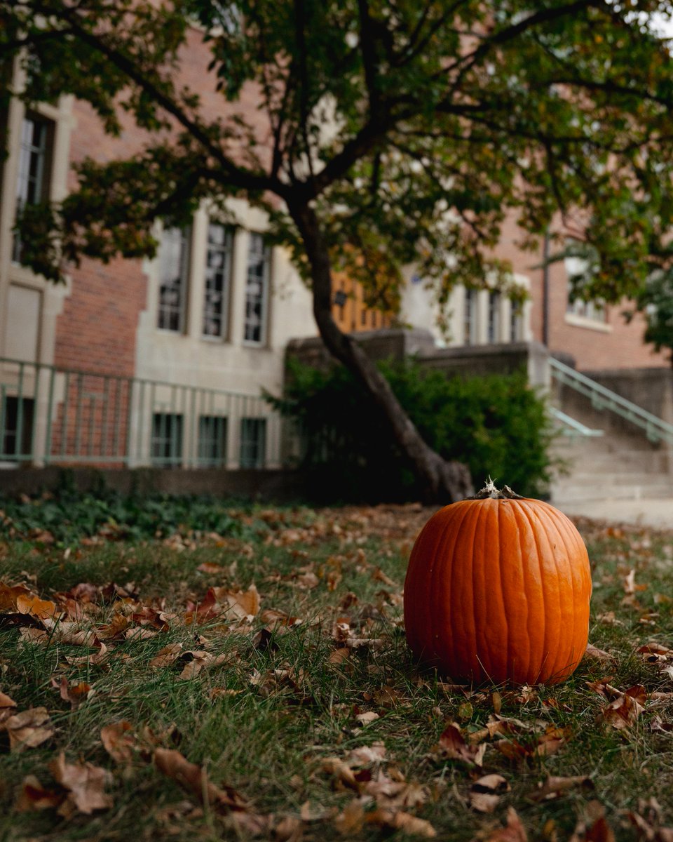 michiganstateu's tweet photo. Fall has officially landed on campus. 🍂 https://t.co/7PxS8mjhk3