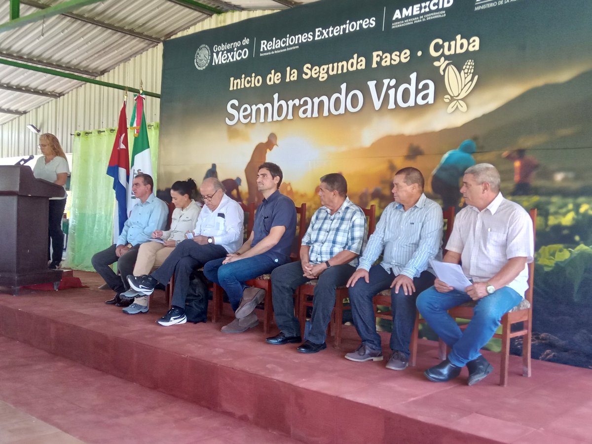 FrankOsbel's tweet photo. Comienza en #SanctiSpíritusEnMarcha la segunda etapa del proyecto Sembrando Vida, iniciativa de cooperación entre Cuba y México que impulsa el desarrollo agropecuario y fortalece la seguridad alimentaria en el territorio.
@DeivyPrezMartn1 @AlexisLorente74 @DiazCanelB https://t.co/tFoJg2hM8C