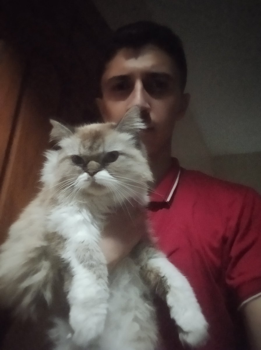 alialjbour29's tweet photo. Please, do not scroll past‼️ 
No one cares about us anymore. The war has not ended, and each day becomes even harder. I need to buy food for us and for my cat, Kwan. Please, we are in desperate need of your help; we just want to live in peace.
https://t.co/miVRENlAXF https://t.co/UN2GKraKVG