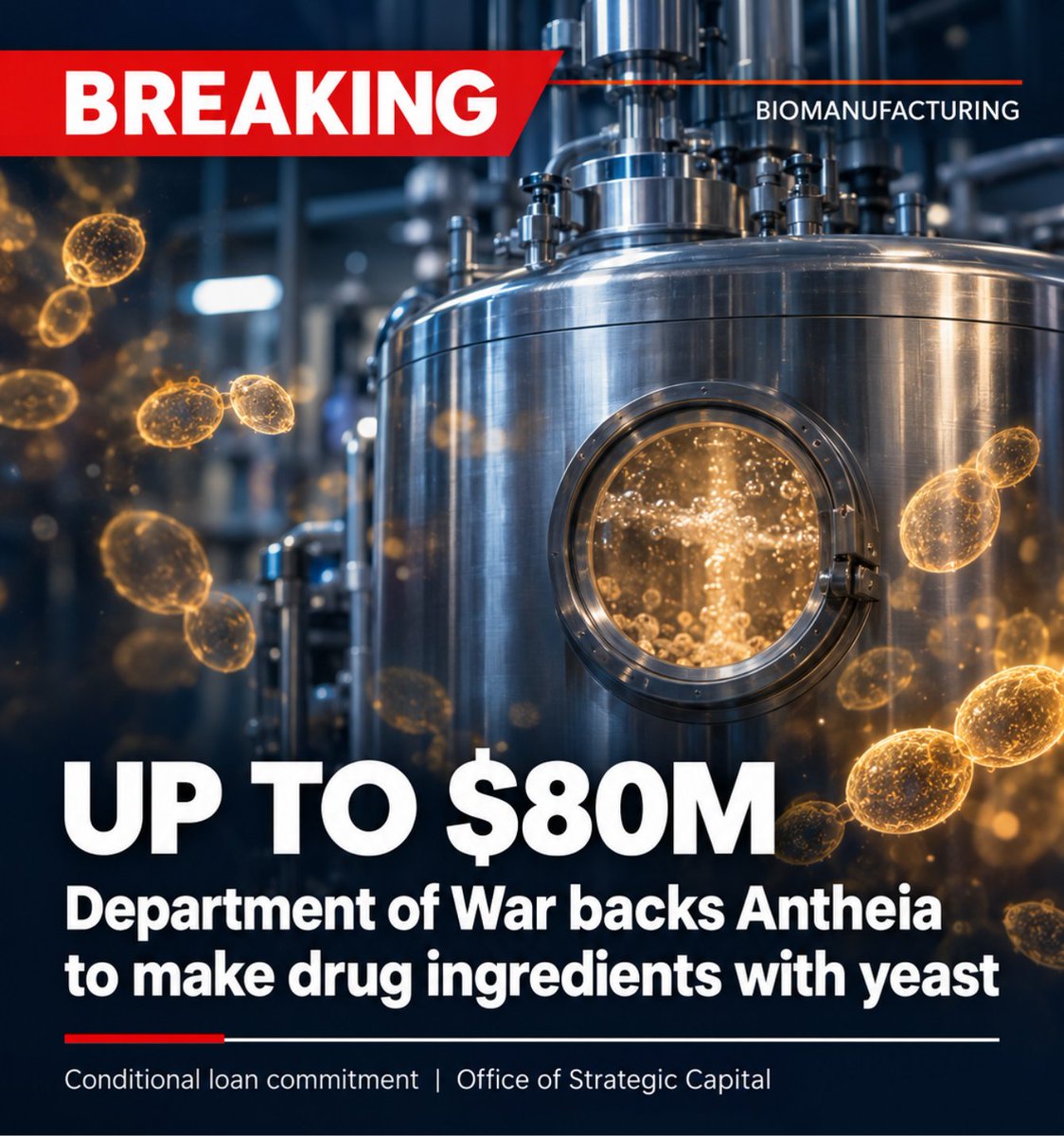johncumbers's tweet photo. The Department of War just put up to $80M behind making drug ingredients with yeast.

@antheiabio received a conditional loan commitment from @DeptofWar's Office of Strategic Capital to scale U.S. production of key starting materials and APIs for generic drugs.

Why this matters:
- Most active ingredients in U.S. medicines are made overseas
- Antheia engineers yeast to turn sugar into pharmaceutical ingredients through fermentation
- Biomanufacturing is now one of the Department of War's six critical technology areas

This is a loan, not a grant. It gets repaid from commercial revenue. That is a vote of confidence in biomanufacturing as an industrial business. The deal still has to clear due diligence before it closes.

Christina Smolke has made this case on the @SynBioBeta stage for years, from her 2023 talk "Leveraging Synthetic Biology to End Drug Shortages" to our 2026 main stage.

Congrats to Christina Smolke and team.