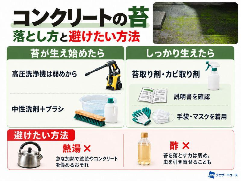 wni_jp's tweet photo. ＜コケの落とし方＞
9月の長雨の影響か、あちこちで苔が増えています。コンクリートに生えた苔は、見た目を損なうだけでなく、放置するとコンクリートの劣化につながることも。苔が生える理由や正しい落とし方を伺いました。
https://t.co/goXh7HibFa https://t.co/pFjYA5CVzO