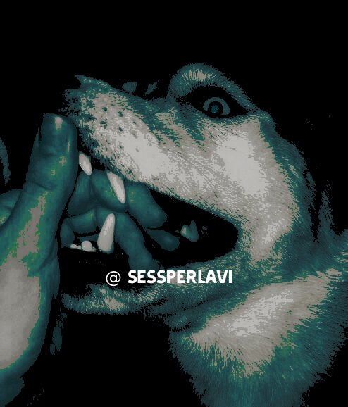 sessperlavi's tweet photo. ⠀
⠀
“　──────　⠀⠀ ⠀⠀⠀slice⠀my⠀throat, ⠀⠀⠀⠀⠀make⠀me⠀part⠀of⠀this⠀‘⠀humanity⠀’⠀
⠀⠀⠀⠀⠀⠀⠀that⠀you⠀blindly⠀rely⠀on. ⠀”
⠀⠀
⠀⠀ https://t.co/10BDeZGQ33