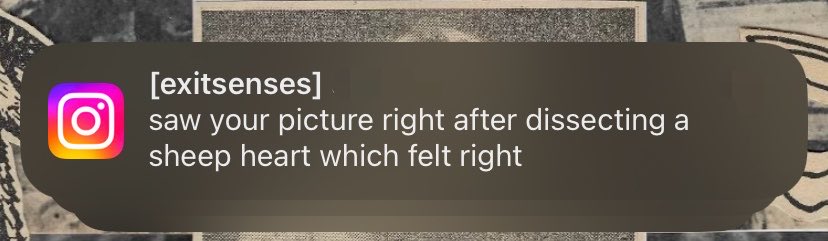 exitsenses's tweet photo. The most beautiful message I’ve ever received from a woman https://t.co/Q7fbd6oYQr