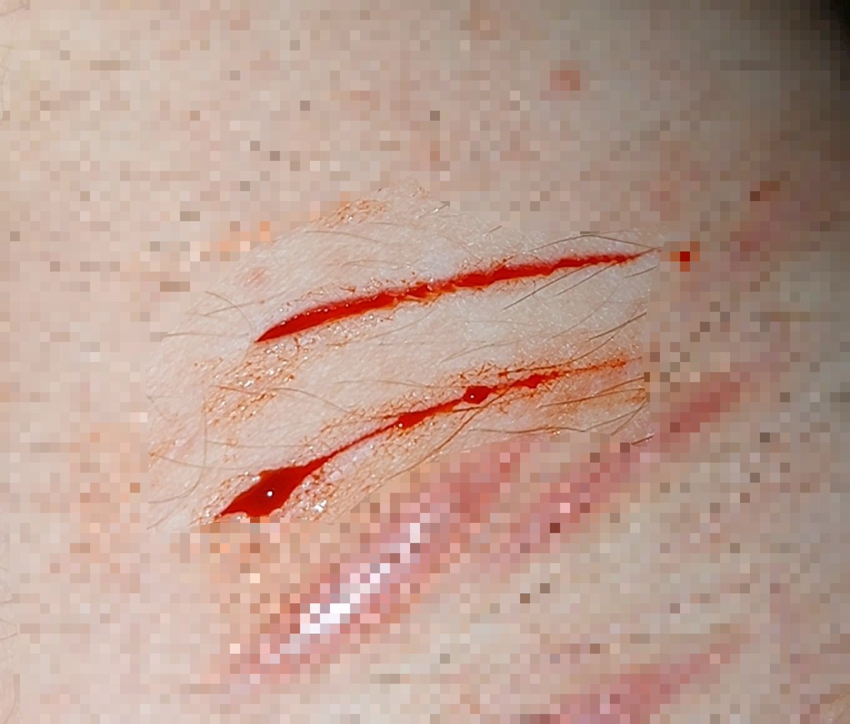 wwpeko's tweet photo. small halloween makeup test !!! fake safe sfx
im so back😍
（´ 3｀)
♡ #slitwt
♡ #shedtwt
♡ #styrostwt
♡ #ouchietwt
♡ #988twt
（；￢＿￢） https://t.co/KRTOlvwbIA