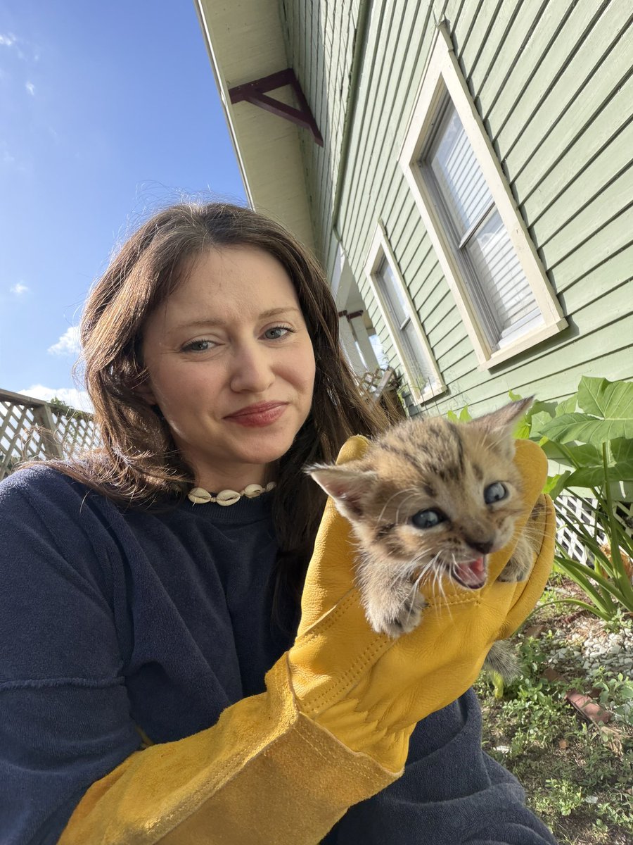 scriptK80's tweet photo. I love working from home bc how else would I have time to recover kittens from under my house https://t.co/nqEkh0MIOD