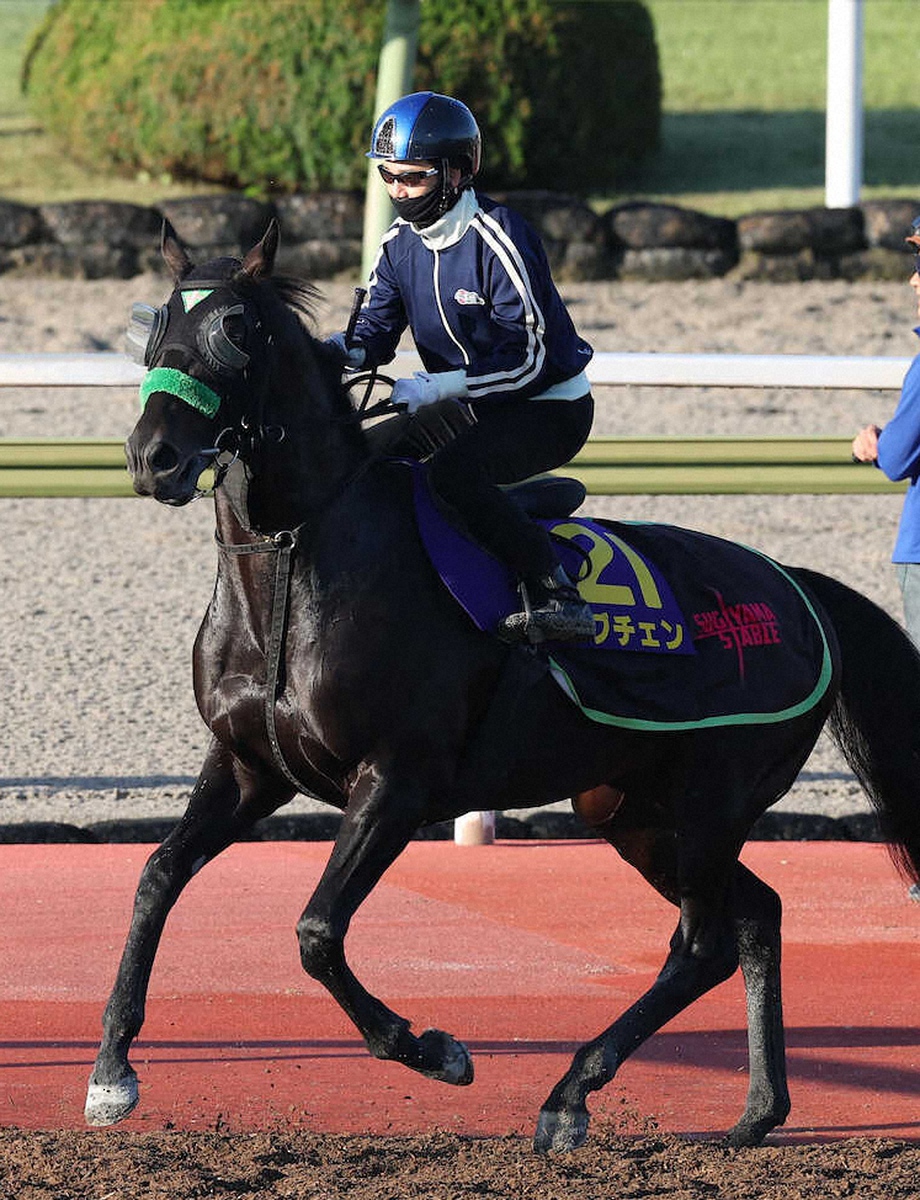 winkeiba_dm's tweet photo. 【菊花賞】松山弘平「ここを逃したら一生、チャンスはないかも」　史上初牡牝ダブル3冠に挑戦｜WIN!競馬 https://t.co/1kCNNVoXXS https://t.co/Tr18UpaVcI