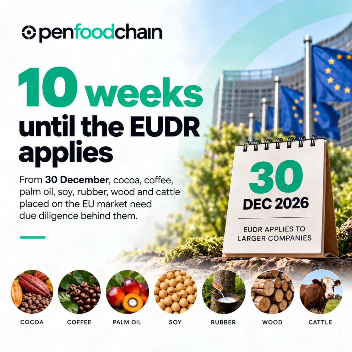 OpenFoodChain's tweet photo. EUDR applies to larger companies from 30 December.

Cocoa, coffee, palm oil, soy, rubber, wood and cattle will need proof behind them.

Proof that is recorded once can be checked by everyone who asks. https://t.co/oNLtU10sWh